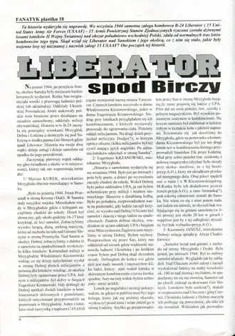 Strona 8 - Fanatyk Plastiku 18/97